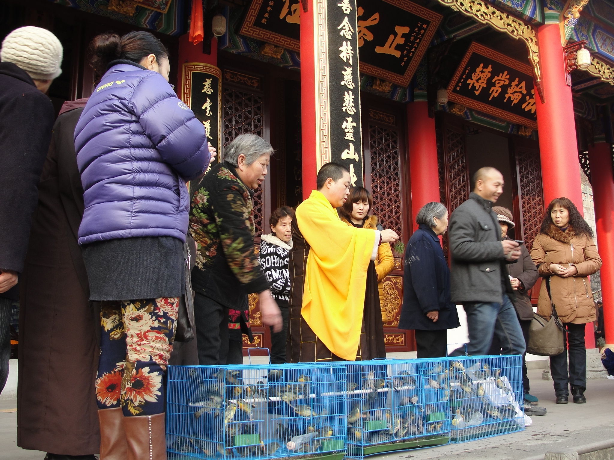 本寺隆重舉行(xíng)臘八放(fàng)生(shēng)法會(huì)