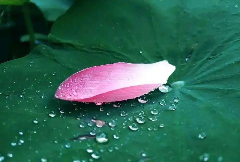 其實人(rén)就(jiù)那(nà)麽簡單！來(lái)時(shí)一(yī)絲不(bù)挂，去(qù)時(shí)一(yī)縷青煙(yān)！